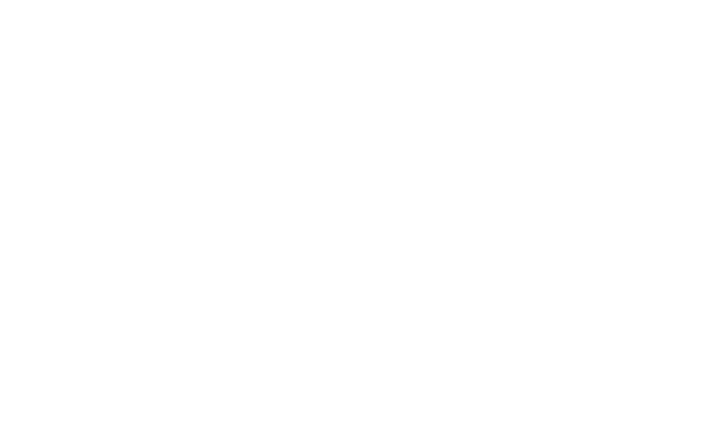 LOGO OFICIAL NT TRANSPARENTE